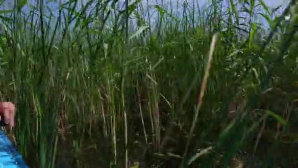 Lago cañas y madre con hija pequeña usando catamarán. Movimiento del cardán — Vídeos de Stock