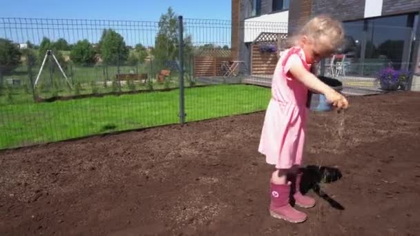 Küçük çalışkan kız çocuğu evin bahçesindeki verimli toprağa yeni çim tohumları ekiyor. — Stok video