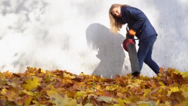 Paisagista mulher trabalhador compensação queda folhas de pátio residencial — Vídeo de Stock
