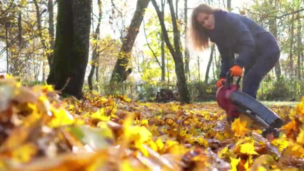 Кавказская работница с воздуходувкой, дующая осенними листьями — стоковое видео