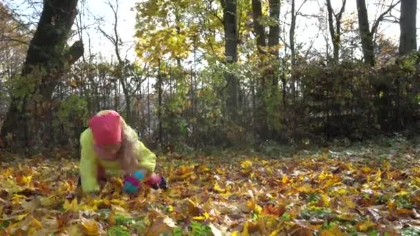 Adorable petite fille ramassant feuillage jaune et orange et le jetant dans l'air 