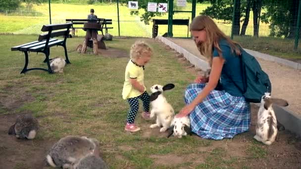Moeder met dochter kijken naar gedomesticeerde konijnen in dierentuin park. 4K — Stockvideo