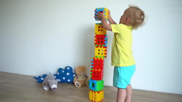 Loira criança edifício e destruindo torre feita de blocos coloridos — Vídeo de Stock