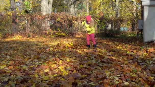 Klein meisje vechten kleurrijke herfst bladeren met raker gereedschap in huis achtertuin — Stockvideo