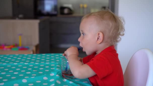 Porträtt av glad liten pojke med ett glas juice sittande vid bordet. Gimbal rörelse — Stockvideo
