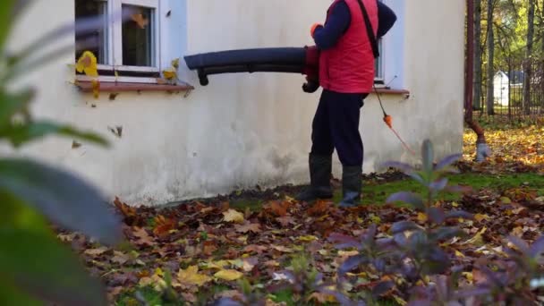 Чоловік працівник дме листя з підвіконня і землі на подвір'ї будинку — стокове відео