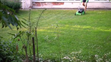 Eski evin bahçesinde çim biçen tanınmamış bir işçi.