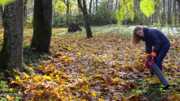 Jardineiro fêmea soprando folhas no jardim quintal na temporada de outono — Vídeo de Stock