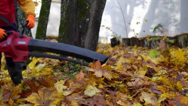 Сучасна машина для вентиляції листя, що використовується для різання листя . — стокове відео