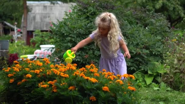 Маленькая блондинка в платье поливает цветы с небольшой лейкой в саду — стоковое видео