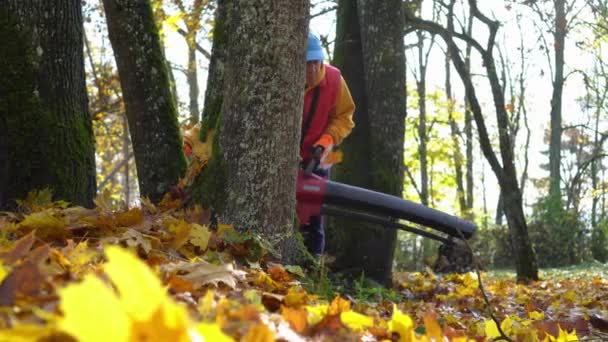 Kaukasischer Parkarbeiter mit elektrischem Luftbläser bläst Herbstblätter — Stockvideo