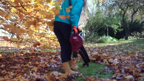 Профессиональная женщина выдувает листья под красивым тюльпановым деревом во дворе — стоковое видео