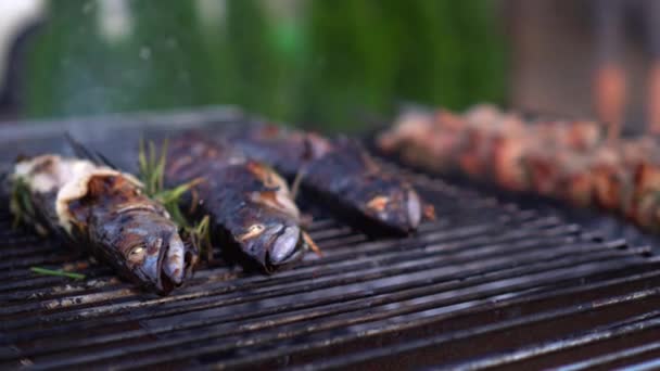 Primo piano dei pesci di scomber con le erbe che cucinano sul barbecue — Video Stock