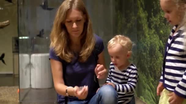 Сімейне годування папуг у зоопарку. Мати з милою донькою і сином. Джимбал рух — стокове відео