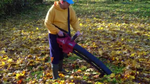 Muž s dmychadlem stroje čištění dvorku z barevných podzimních listí — Stock video