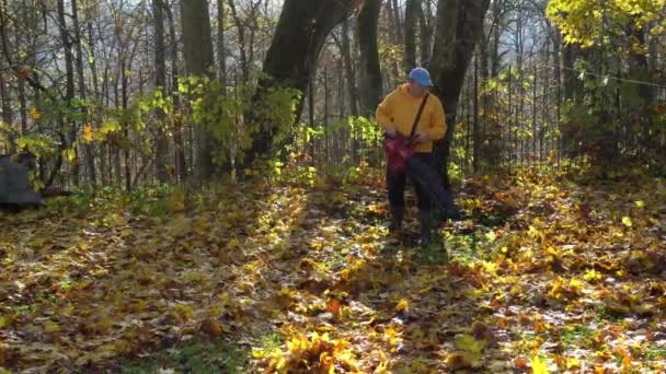 Manlig arbetare med fläkt maskin rengöring bakgård från färgglada höstlöv — Stockvideo