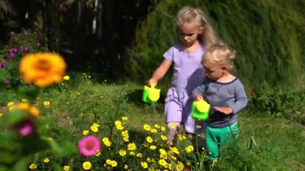 Pequeños jardineros niño y niña flores de agua con pequeñas latas de riego en el jardín — Vídeos de Stock