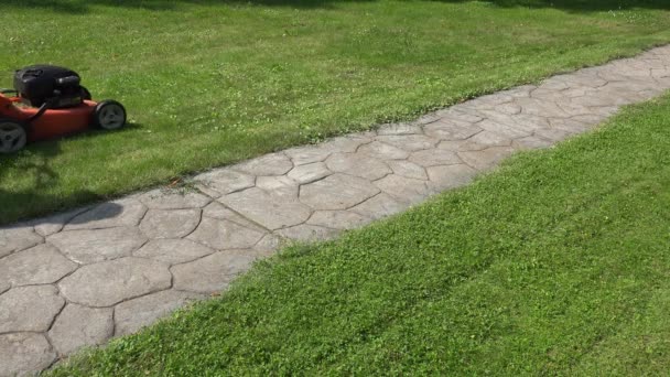 Corte hembra hierba verde en el jardín cerca de camino en tiempo caliente. 4K — Vídeos de Stock