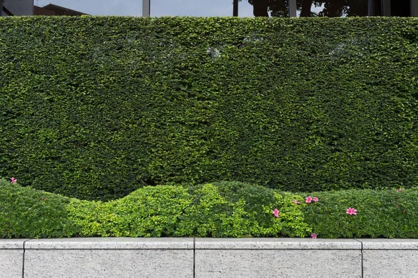 街道墙背景 工业背景 空旷的城市街道 有仓库砖墙 — 图库照片