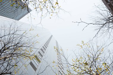 Taze yeşil ve gruplar oluşturma