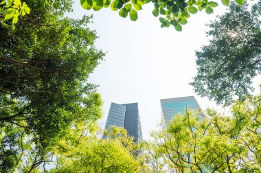 Taze yeşil ve gruplar oluşturma