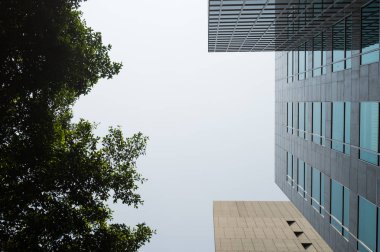 Taze yeşil ve gruplar oluşturma