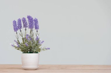 Ahşap masa üzerinde kapalı bitki