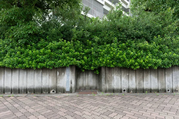 Straßenmauer Hintergrund Industrieller Hintergrund Leere Grunge Urbane Straße Mit Lagerhaus — Stockfoto