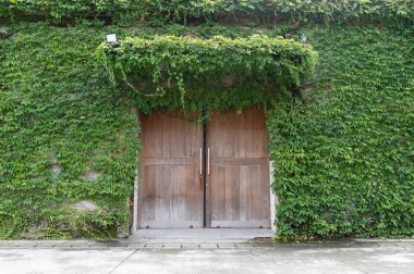 Sokak duvarı ve kapı kenarındaki kaldırım