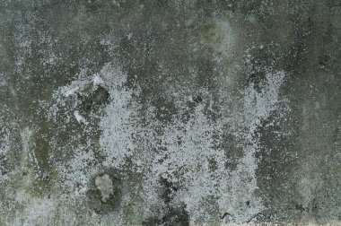 çimento zemin arka plan, portre 