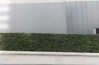 Sokak duvarı arka planı, endüstriyel arka plan, depo tuğla duvarlı boş Grunge şehir sokağı