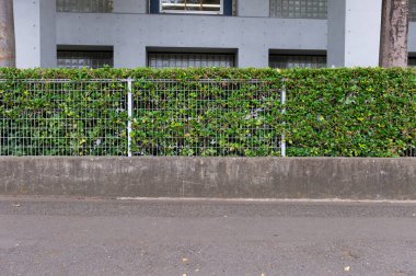 Sokak duvarı arka planı, endüstriyel arka plan, depo tuğla duvarlı boş Grunge şehir sokağı