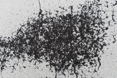 çimento zemin arka plan, portre 