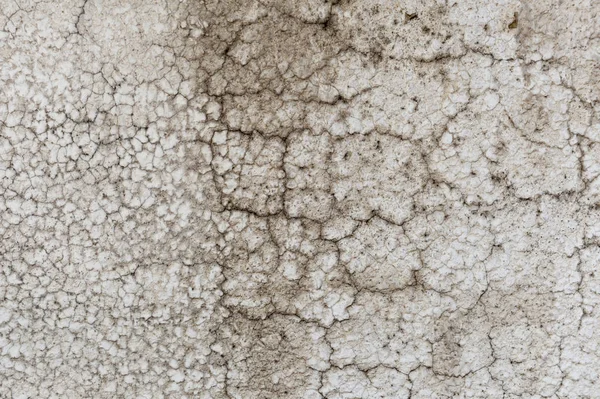 Цементный Пол Фон Крупный План — стоковое фото