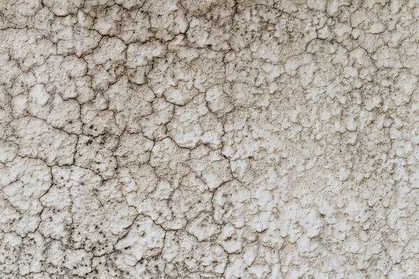 Цементный Пол Фон Крупный План — стоковое фото