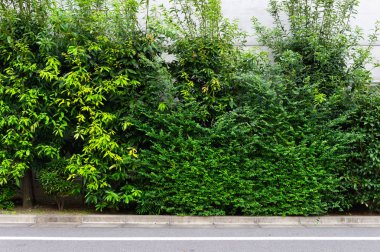 Sokak duvarı arka planı, endüstriyel arka plan, depo tuğla duvarlı boş Grunge şehir sokağı