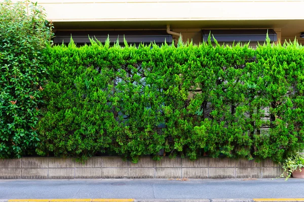 Straßenmauer Hintergrund Industrieller Hintergrund Leere Grunge Urbane Straße Mit Lagerhaus — Stockfoto