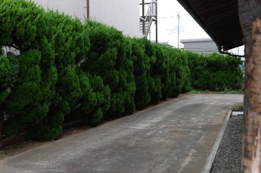 Sokak duvarı arka planı, endüstriyel arka plan, depo tuğla duvarlı boş Grunge şehir sokağı