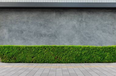 Sokak duvarı arka planı, endüstriyel arka plan, depo tuğla duvarlı boş Grunge şehir sokağı