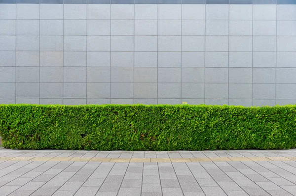 街道墙背景 工业背景 空旷的城市街道 有仓库砖墙 — 图库照片