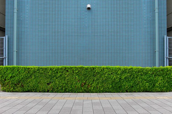 Street Wall Background Industrial Background Empty Grunge Urban Street Warehouse — Stock Photo, Image