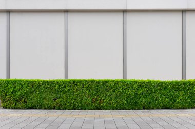 Büyük Pencere ve İsim Yeri olan Dükkan Dükkanı Önü