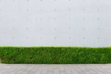 Sokak duvarı arka planı, endüstriyel arka plan, depo tuğla duvarlı boş Grunge şehir sokağı