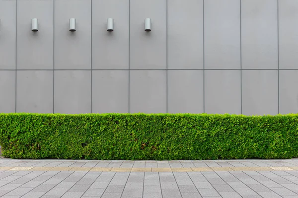 街道墙背景 工业背景 空旷的城市街道 有仓库砖墙 — 图库照片