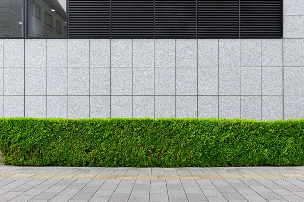 Straßenmauer Hintergrund Industrieller Hintergrund Leere Grunge Urbane Straße Mit Lagerhaus — Stockfoto