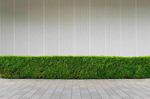 Street Wall Background Industrial Background Empty Grunge Urban Street Warehouse — Stock Photo, Image