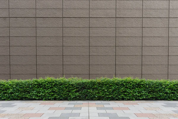 Straat Muur Achtergrond Industriële Achtergrond Lege Grunge Stedelijke Straat Met — Stockfoto