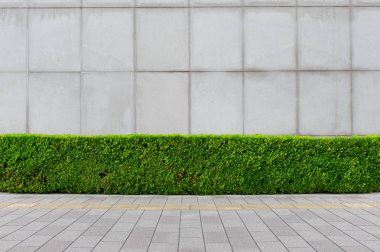 Sokak duvarı arka planı, endüstriyel arka plan, depo tuğla duvarlı boş Grunge şehir sokağı