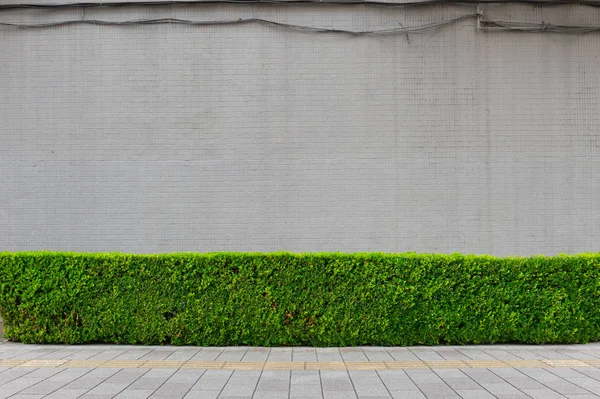 街道墙背景 工业背景 空旷的城市街道 有仓库砖墙 — 图库照片