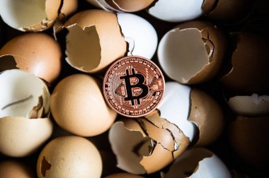 Kırık yumurta kabuğunda altın bitcoin